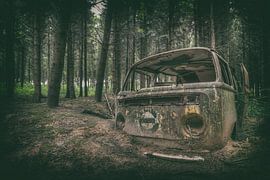 VW in het bos