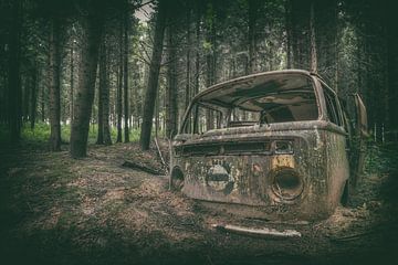 VW in the woods by Vivian Teuns