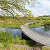 pont sur la rivière Schwarzer Regen, paysage de printemps près de Viechtach sur SusaZoom