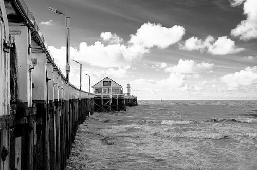 The sea house