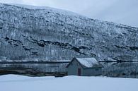 Houten hut bij fjord in Hansness Noord Noorwegen van Dennis Wierenga thumbnail