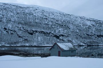 Holzhaus  am Fjord im Norden Norwegens Hansness von Dennis Wierenga