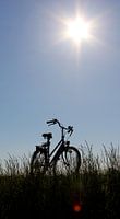 Le vélo
