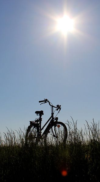 Le vélo par Adeline Legrand