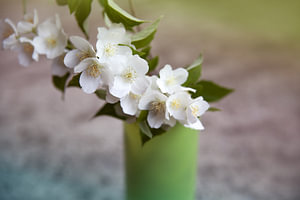 ikebana