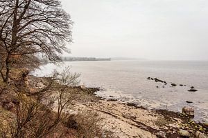 Lauterbach