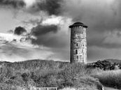 Watertoren Domburg (Zeeland - Nederland) van Rick Van der Poorten thumbnail