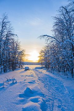 Paysage hivernal avec coucher de soleil et forêt à Äkäslompo