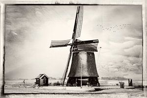Windmühle in Noord-Holland 