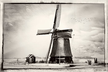 Windmühle in Noord-Holland 