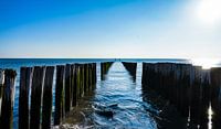 Enjoying the early spring sun in the sky, clear blue sky at Zoutelande beach