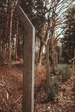 Gedeelte van het originele hek van kamp Westerbork van MdeJong Fotografie