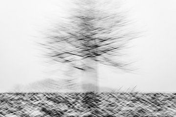 Baum in Bewegung im Schnee in Schwarz-Weiß-Tonung von Imaginative