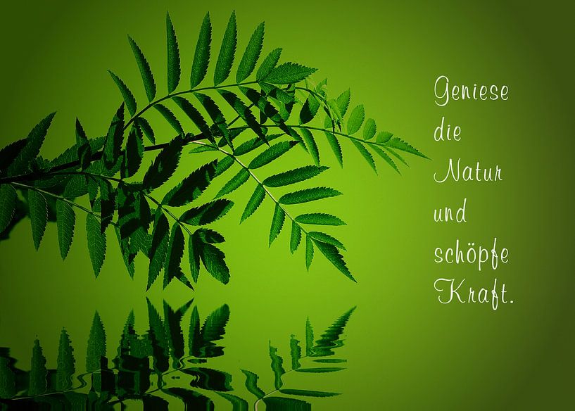 Wasserspiegelung by Gabi Siebenhühner