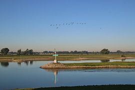 Rhein/IJssel-Gabel von Karlo Bolder