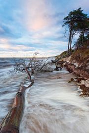 Sturm am Weststrand von Daniela Beyer