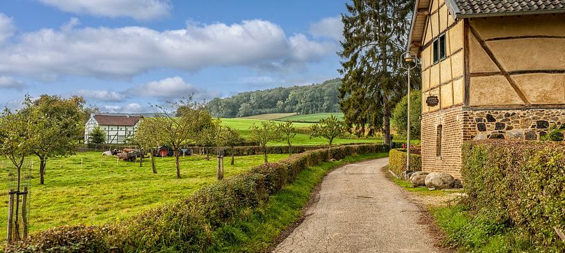 Panorama Vakwerkhuisjes omgeving Epen van John Kreukniet