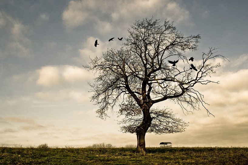 A quiet autumn afternoon by Harry van Rhoon