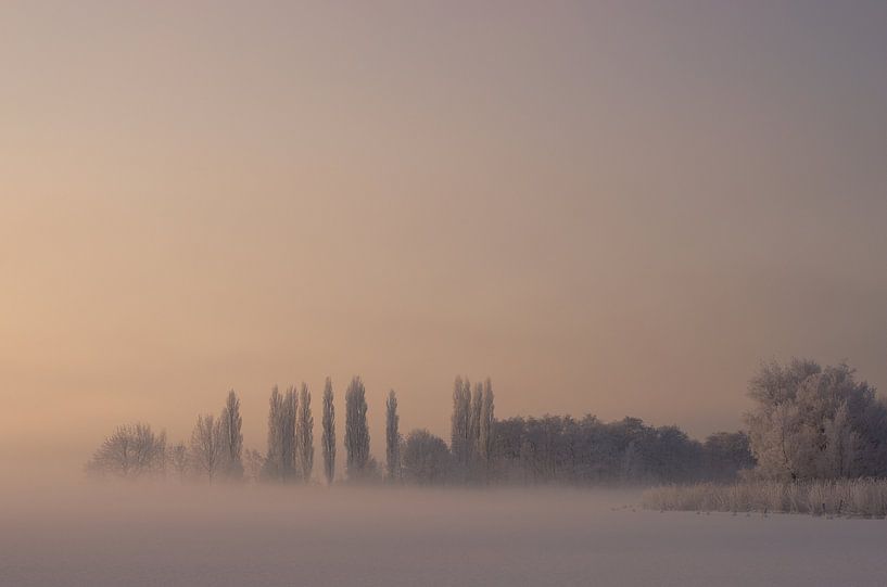 Mistige morgen by Karen Havenaar