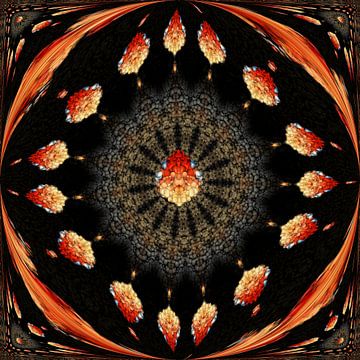 Kaléidoscope avec des nuances d'orange sur Carla van Zomeren