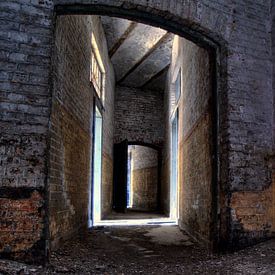 Tunnel by Jo Stoop