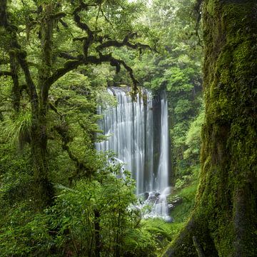 Korokoro Falls II by Rainer Mirau