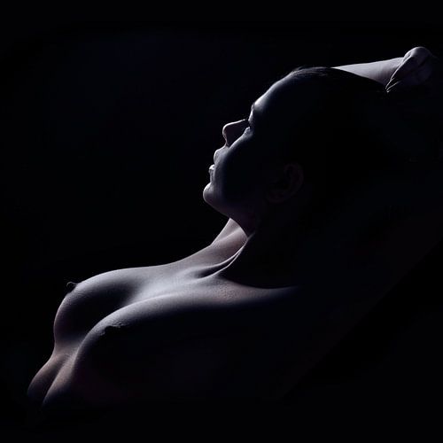 Esthetische Naaktfotografie