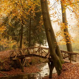 Pont sur l'eau dans la forêt en automne sur KB Design & Photography (Karen Brouwer)