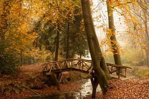 Brücke über das Wasser im Wald im Herbst von KB Design & Photography (Karen Brouwer)