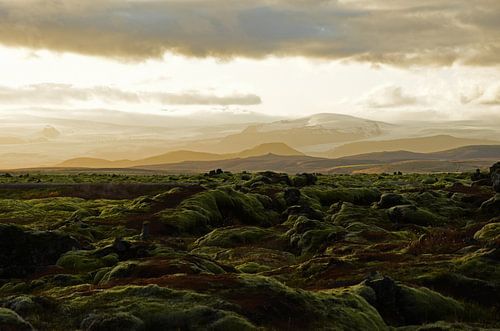 Mystical lava field in Iceland