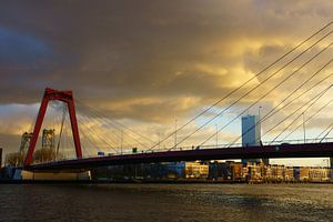 Willemsbrug Rotterdam van Michel van Kooten