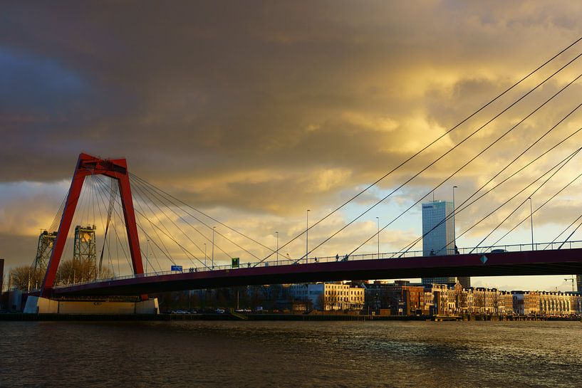 Willemsbrug Rotterdam von Michel van Kooten