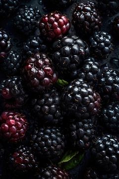 Fresh Blackberries by Studio XII