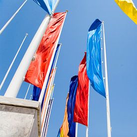 Flying flags van Frank Diepeveen