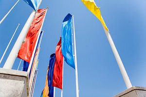 Flying flags van Frank Diepeveen