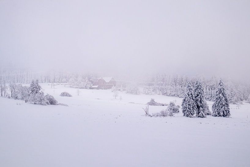 Cross-country skiing in the snowy Thuringian Forest near Floh-Seligenthal - Thuringia - Germany by Oliver Hlavaty