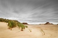 Tempête au-dessus des dunes de sable par Ralf Lehmann Aperçu