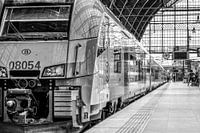 Trein op poerron