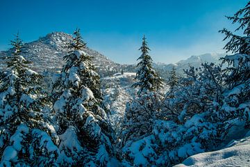 Winter Wonder Land van Roland's Foto's