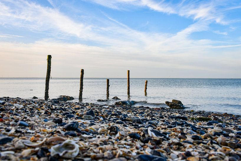 Bank with shells at the Oosterschelde by Veelzijdig Zeeland