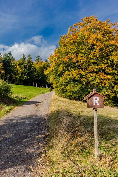 Randonnée automnale à travers la forêt de Thuringe par Oliver Hlavaty
