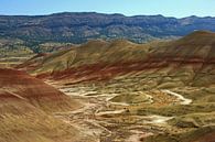 Painted Hills, Oregon van Jeroen van Deel thumbnail