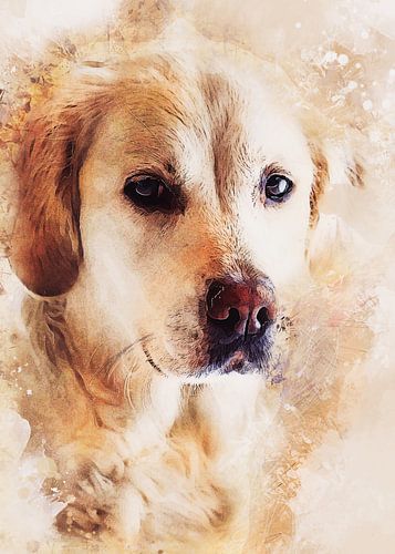 Dog 10 animals art #dog #dogs #dogs