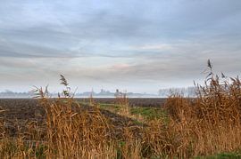 November fog by Rolf Pötsch
