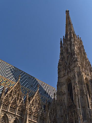 De Stephansdom met de zuidelijke toren, Wenen