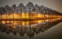 APAC (Krommewetering) à Utrecht la nuit