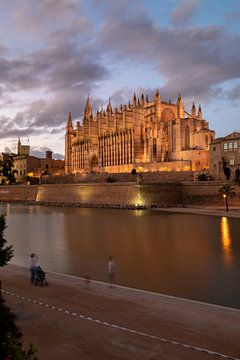 De kathedraal van Palma de Mallorca bij nacht van t.ART