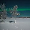 Aurores boréales en Laponie 002 sur Evelien Huisman