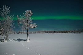 Northern Lights in Lapland 002