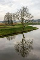 Reflection in moat 1